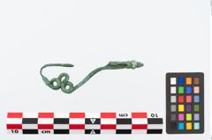 Foto von Bronzeschlangenfibel (NHMW-PRAE-026558)